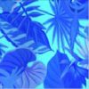 Hawaii-Blue