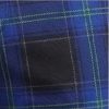 Checkered Blue